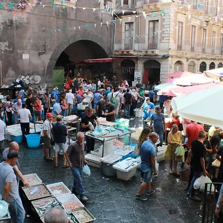 Zenzero E Limone * Катания