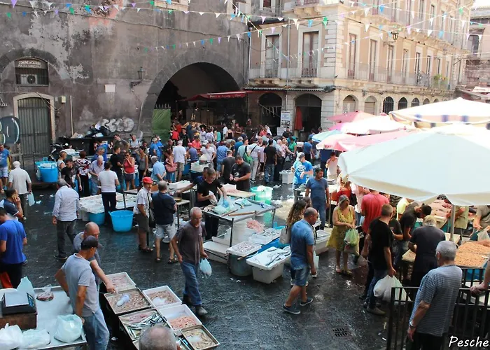 Zenzero E Limone * 卡塔尼亚